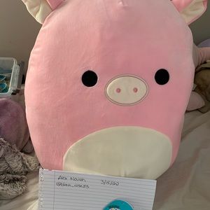 16” brand new Peter the pig Squishmallows